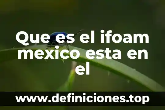Que es el ifoam mexico esta en el