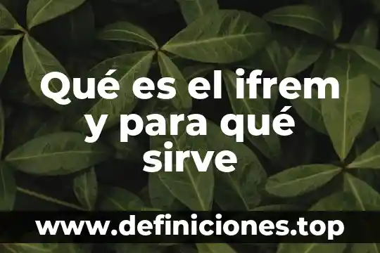 Qué es un guion y para qué sirve 4 Qué es el ifrem y para qué sirve
