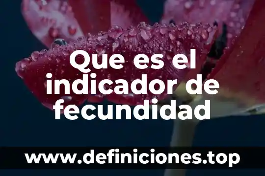 Qué es fecundidad en salud 4 Que es el indicador de fecundidad