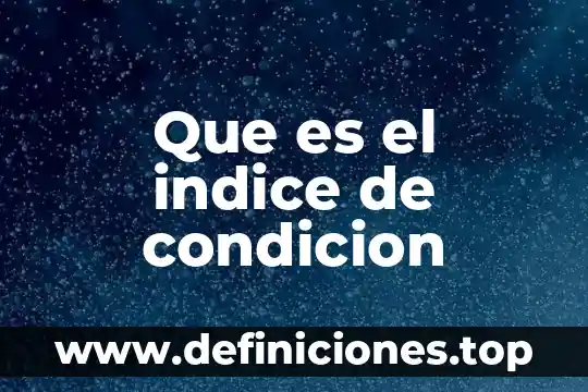 Que es la condicion fisica y sus componentes 5 Que es el indice de condicion