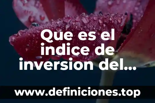 Que es el capital extranjero en mexico 8 Que es el indice de inversion del capital