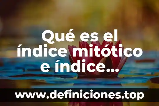 Qué es el índice mitótico e índice interfasico