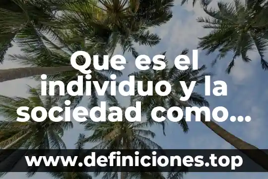 Que es el individuo y la sociedad como se relacionan