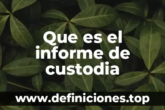 Método sustitución que es 5 Que es el informe de custodia
