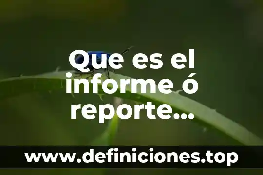 Que es un informe access 2010 7 Que es el informe ó reporte bruntland
