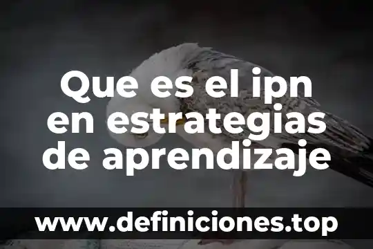 Que es el ipn en estrategias de aprendizaje