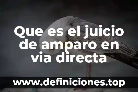 Que es el juicio de amparo en via directa