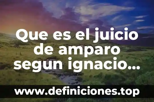 Qué es el amparo administrativo en México 3 Que es el juicio de amparo segun ignacio burgoa orihuela