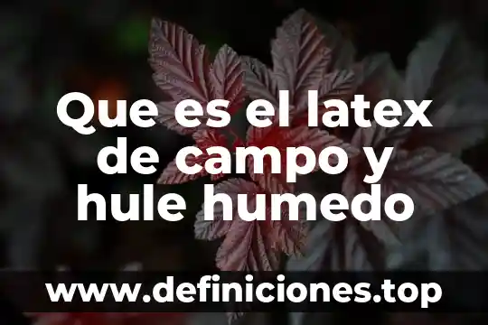 Que es la bicondicional si y solo si 3 Que es el latex de campo y hule humedo