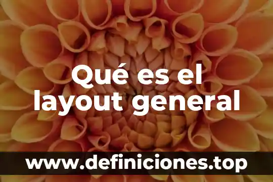 Que es un layout excel 4 Qué es el layout general