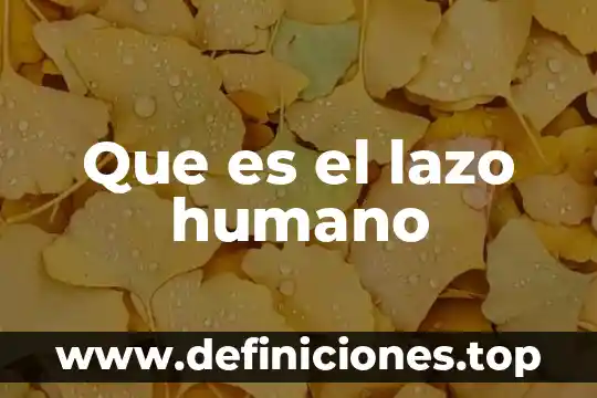 Que es ser un ser humano afectivo 8 Que es el lazo humano