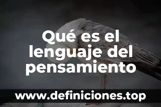 Bpm que es en cuestión de salud 7 Qué es el lenguaje del pensamiento