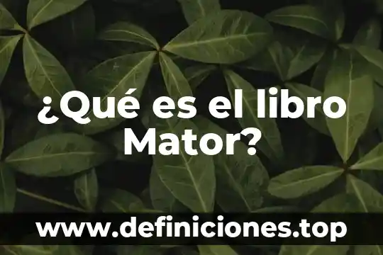 Algoritmología que es 5 ¿Qué es el libro Mator?