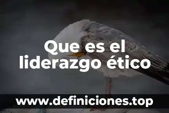 Que es imperativo etico 8 Que es el liderazgo ético