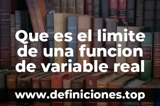 Programa real que es 8 Que es el limite de una funcion de variable real