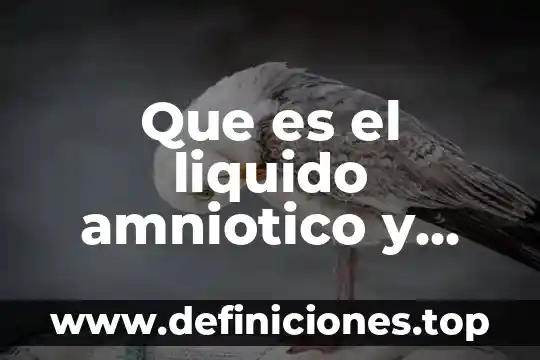 Que es auto control y la falta de impulsos 8 Que es el liquido amniotico y que funcion cumple