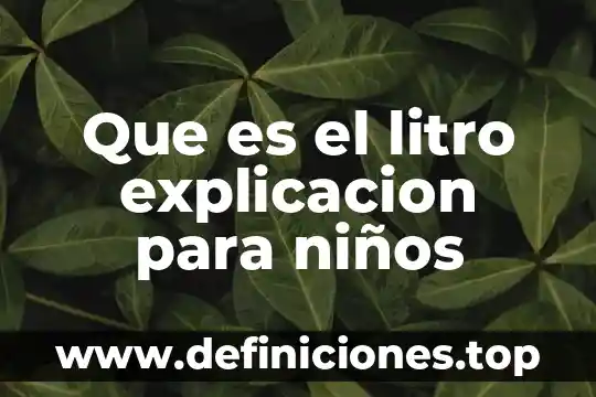 Que es el litro explicacion para niños