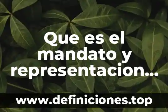 Que es la teoria del mandato juridicas 5 Que es el mandato y representacion segun euripides valdes loran