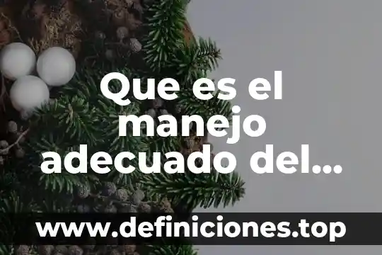 Que es el programa de manejo del fuego de conafor 6 Que es el manejo adecuado del tiempo