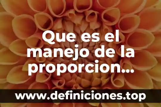 Que es la proporcion directa fisica 4 Que es el manejo de la proporcion arquitectura