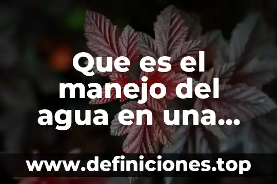Que es el programa de manejo del fuego de conafor 3 Que es el manejo del agua en una maqueta