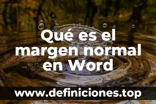 Qué es Word y sus interfaz 6 Qué es el margen normal en Word