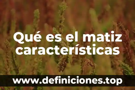 Qué es lectura características y dibujos 6 Qué es el matiz características
