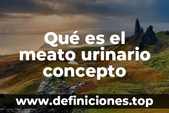 Qué es nefrona en el sistema urinario 6 Qué es el meato urinario concepto