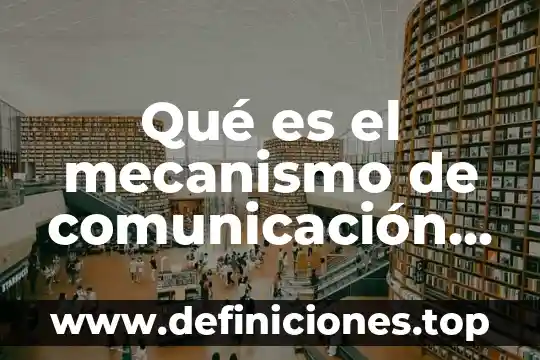 Qué es célula neuronal 5 Qué es el mecanismo de comunicación neuronal