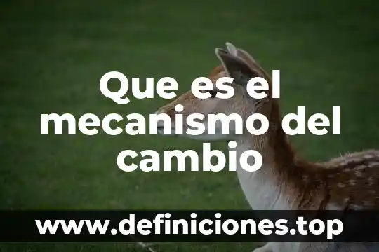 Que es un mecanismo de revision 3 Que es el mecanismo del cambio