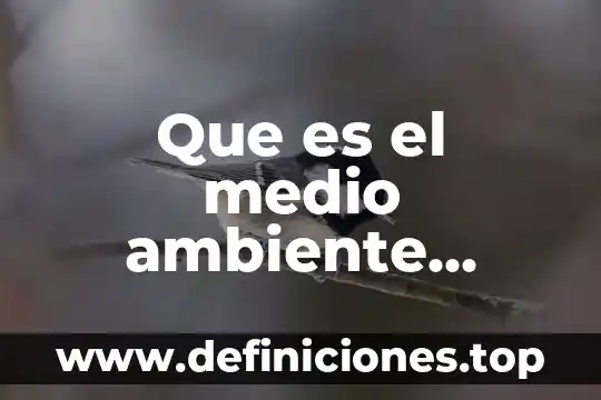 Ciencias naturales que es y campos de estudio 3 Que es el medio ambiente recursos naturales