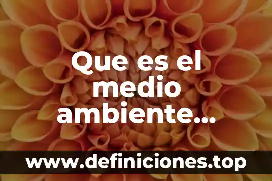 Qué es la moral para varios autores 8 Que es el medio ambiente segun varios autores