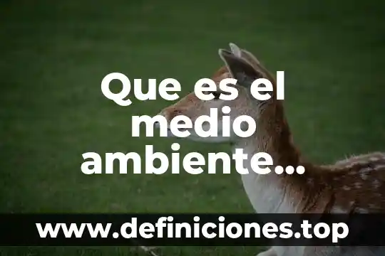 Que es recursos del triptico 7 Que es el medio ambiente triptico