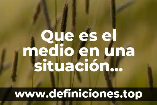 Qué es un medio salino 5 Que es el medio en una situación didáctica