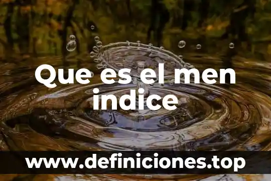 Que es el indice propuesto 4 Que es el men indice