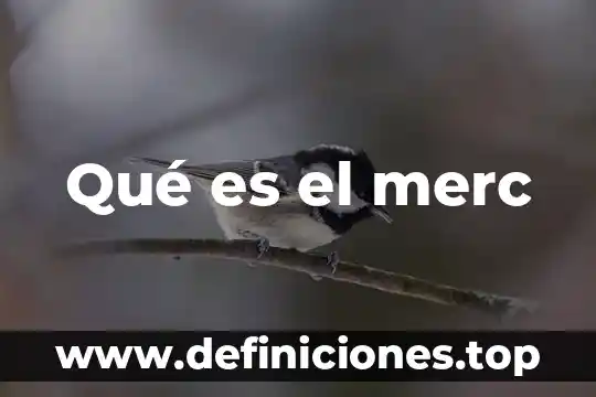 Qué es el merc