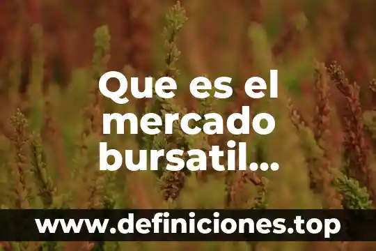 Que es el mercado bursatil mexicano