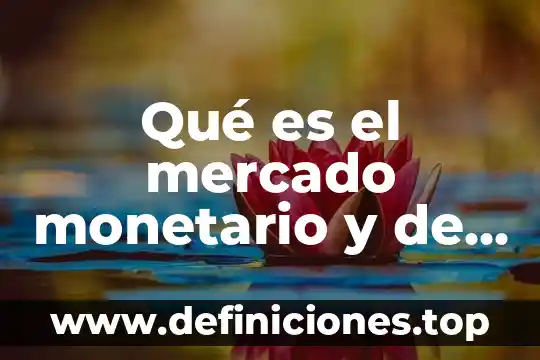 Que es y que hace el fondo monetario internacional 8 Qué es el mercado monetario y de capitales