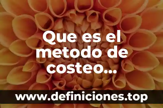 Qué es costeo basado en actividades proyectos 6 Que es el metodo de costeo absorbente