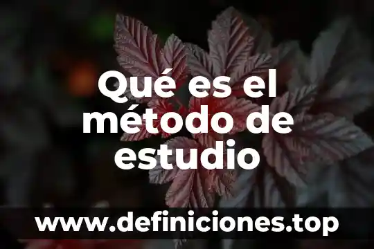Qué es el método de estudio