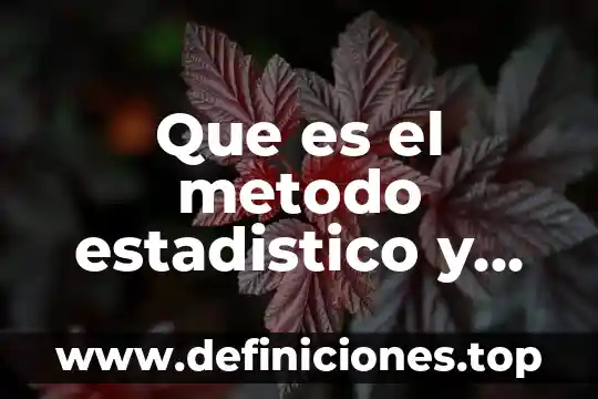 Que es el metodo estadistico y cuales son sus etapas