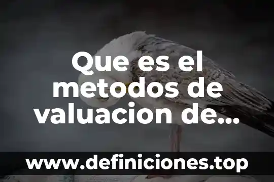 Que es el conocimiento sus elementos metodos tipos y objetivos 5 Que es el metodos de valuacion de inventarios