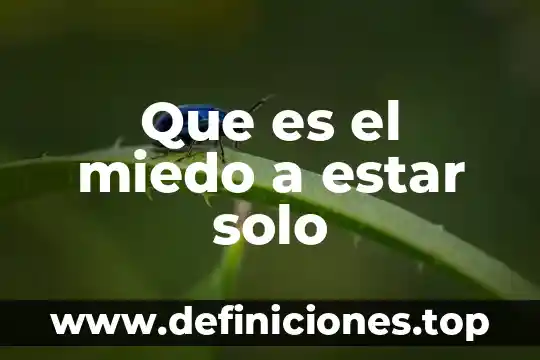 Por que es importante estar hidratado al realizar algun deporte 6 Que es el miedo a estar solo
