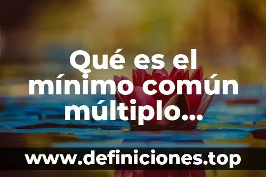 Qué es el mínimo común múltiplo definición y concepto