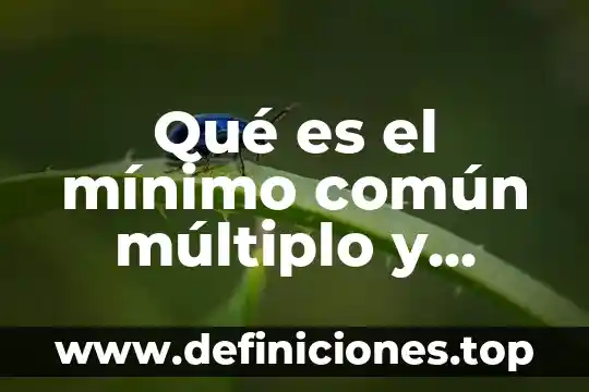 Qué es el mínimo común múltiplo y diversos cálculos