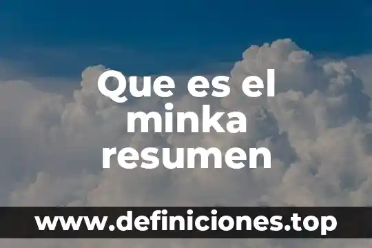 Qué es el coxis resumen 7 Que es el minka resumen
