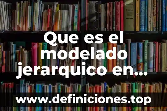 Que es un problema deapliacion 3 Que es el modelado jerarquico en opengl