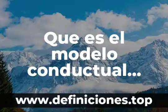 Qué es el modelo interactivo de lectura 6 Que es el modelo conductual interactivo
