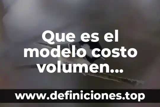 Qué es contribución marginal en contabilidad 3 Que es el modelo costo volumen utilidad metodo contribucion