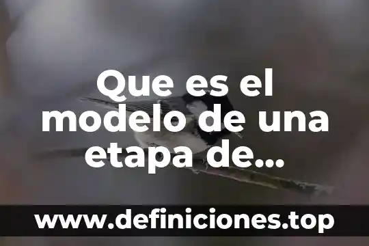 Que es un modelo geometrico en geometria 3 Que es el modelo de una etapa de equilibrio